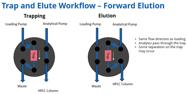 Trapping and elute workflow - forward elution